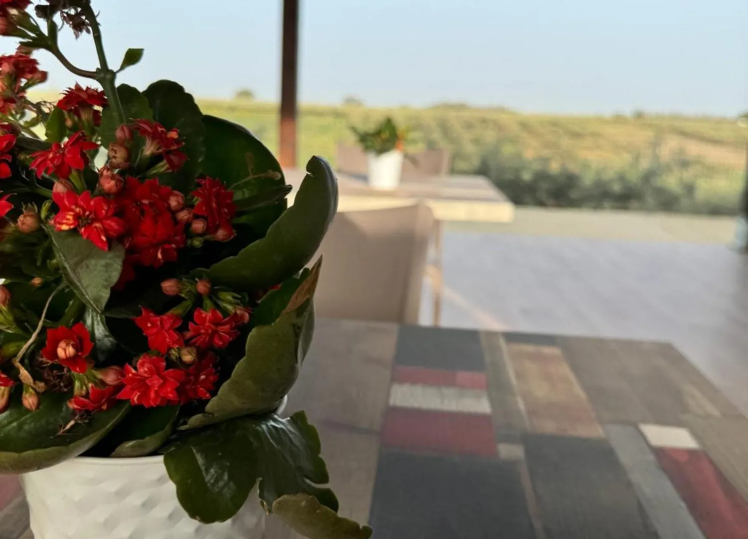 Hotel Baglio Eldama Castelvetrano 0*,